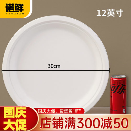 可降解纸盘圆盘餐盘蛋糕盘画画盘