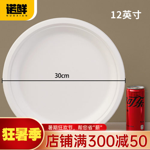 可降解纸盘圆盘餐盘蛋糕盘画画盘