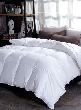 goose down duvet warm thicken winter quilt blanket comforter