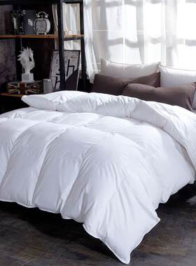 goose down duvet warm thicken winter quilt blanket comforter