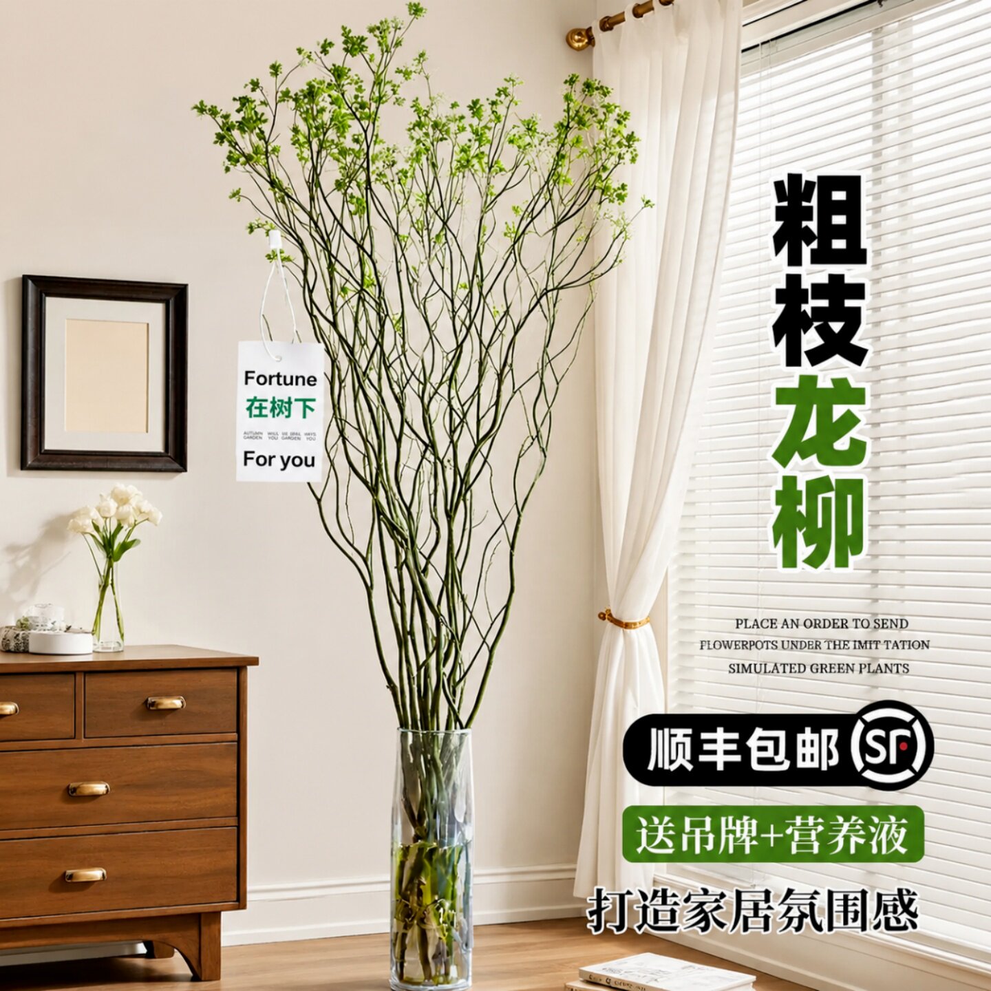 龙柳鲜枝水培植物室内好养绿植插花柳条干枝切花水养客厅吊钟盆栽