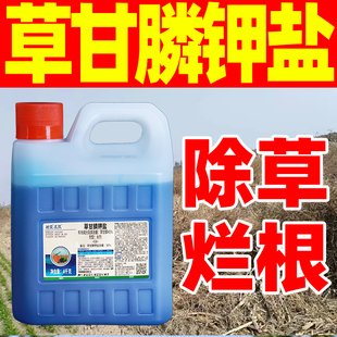 树荣求败50%草甘膦钾盐除草剂农药草甘磷除草烂根剂正品整箱甲盐