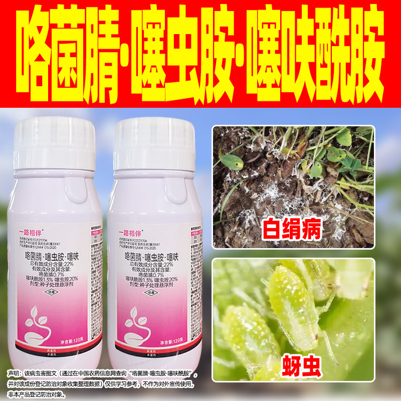 花生蚜虫白绢病专用药三效合一图片