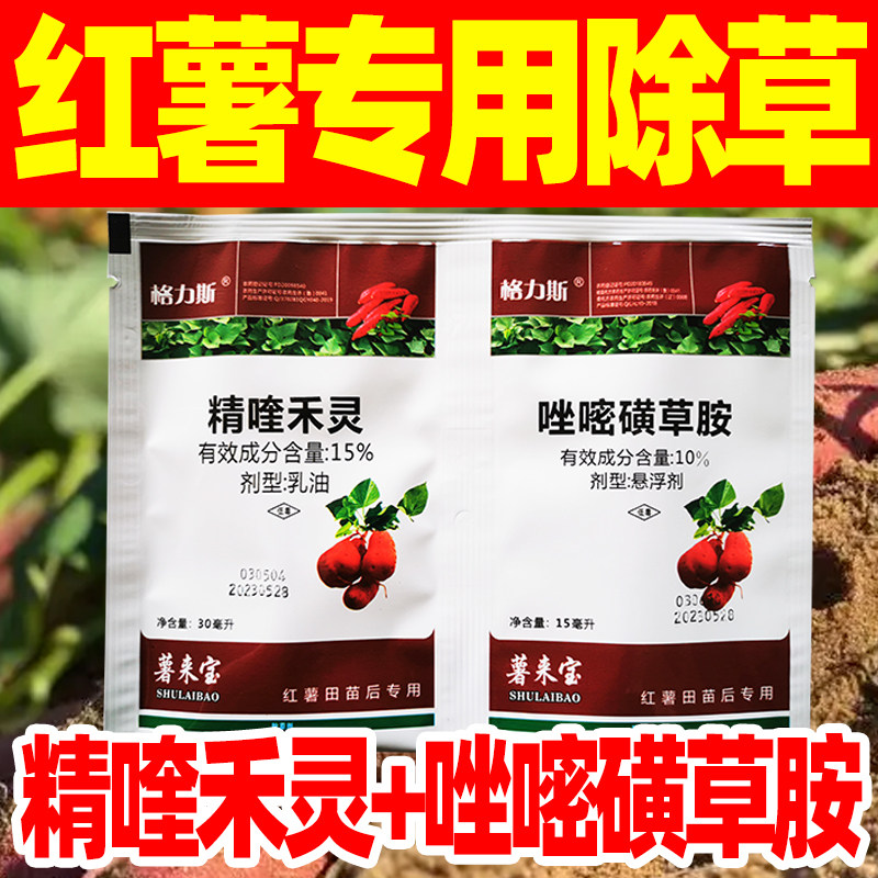 红薯地除草专用剂精喹奎禾灵唑嘧磺草胺红苕甘薯地瓜苗后除草剂