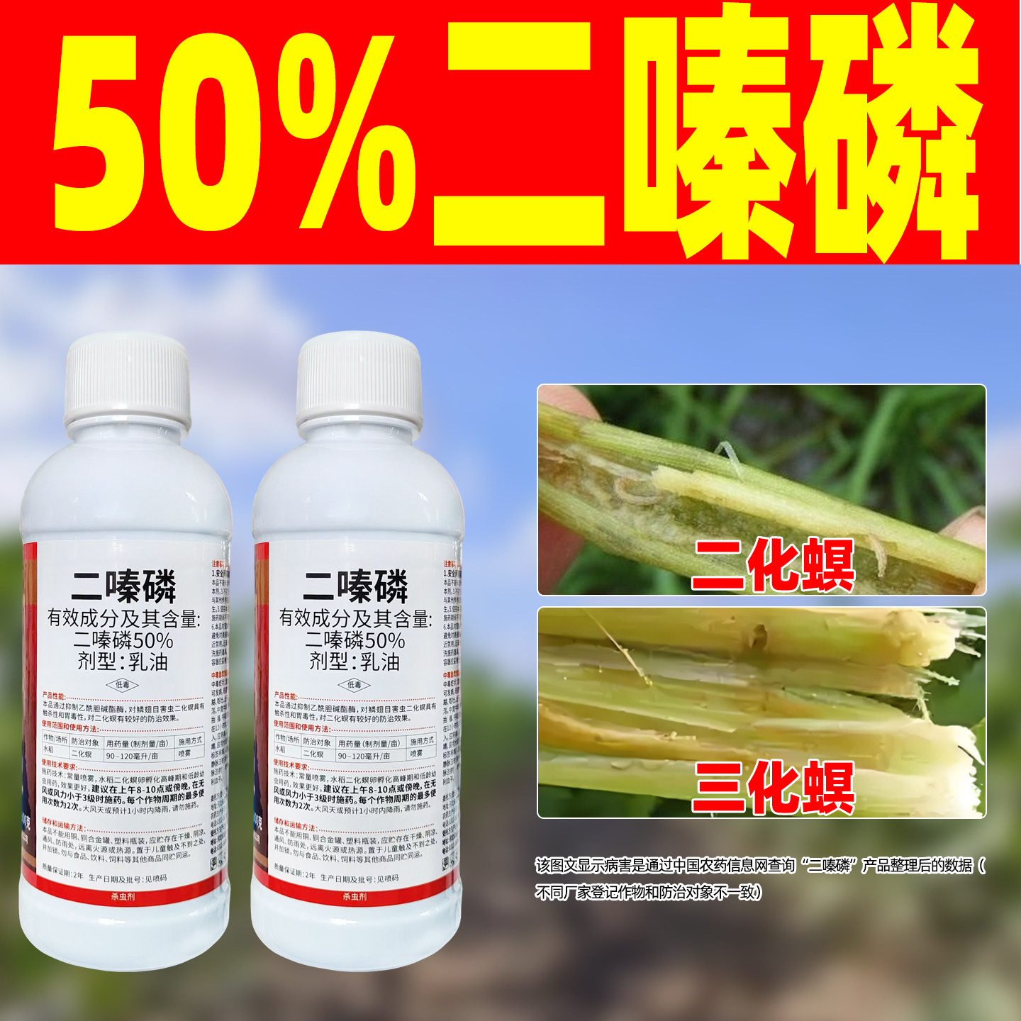 50%二嗪磷杀虫剂水稻二化螟杀虫