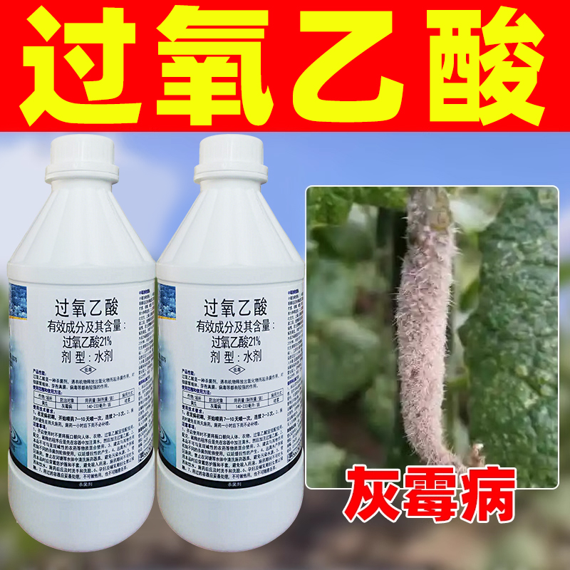 21%过氧乙酸杀菌剂黄瓜灰霉病专用药正品灰霉病克星黄瓜杀菌