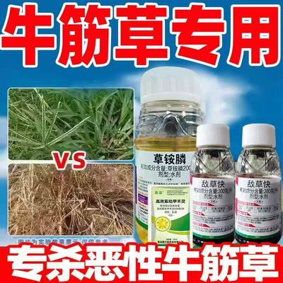 牛筋草除草烂根剂正品旗舰店