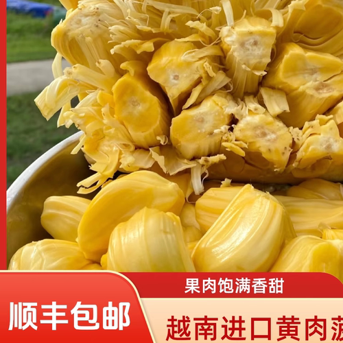 越南进口波罗蜜干苞脆甜