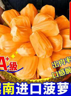 2【JD/顺丰】正宗越南进口菠萝蜜干苞脆甜产地直采新鲜水果直发