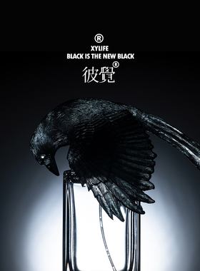 XYLIFE 彼觉 V04 PTSD 主理人Mr.V 同名限量系列精致织物香氛香水