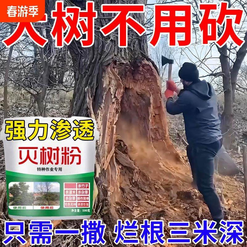 烂根除大树专用药强力枯树王灭树粉腐树根灌木竹子开荒用高浓度,户外/登山/野营/旅行用品,台钓饵,淘宝优惠券,粉丝福利购,淘宝优惠卷