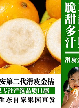 【顺丰包邮】融安滑皮金桔新鲜水果自家果园鲜果纯甜多汁脆甜应季