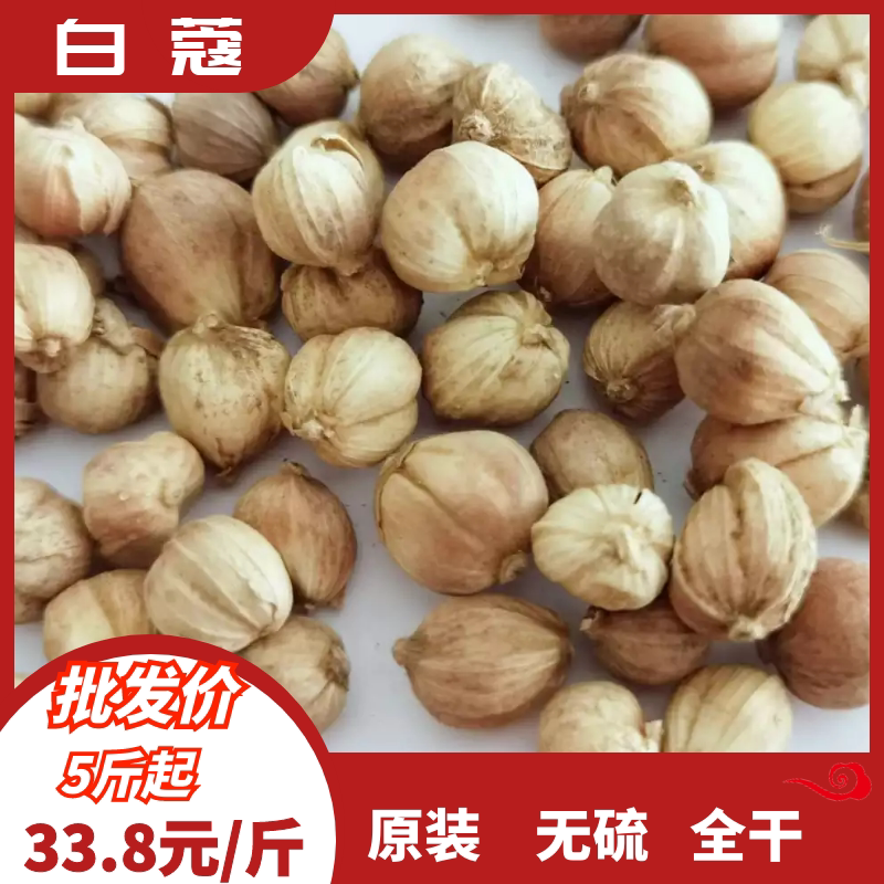 500g白蔻白扣豆蔻无硫原