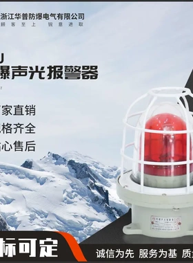 经久耐用防爆声光报警器BBJ声光警报器 220V/DC24VLED防爆报警器