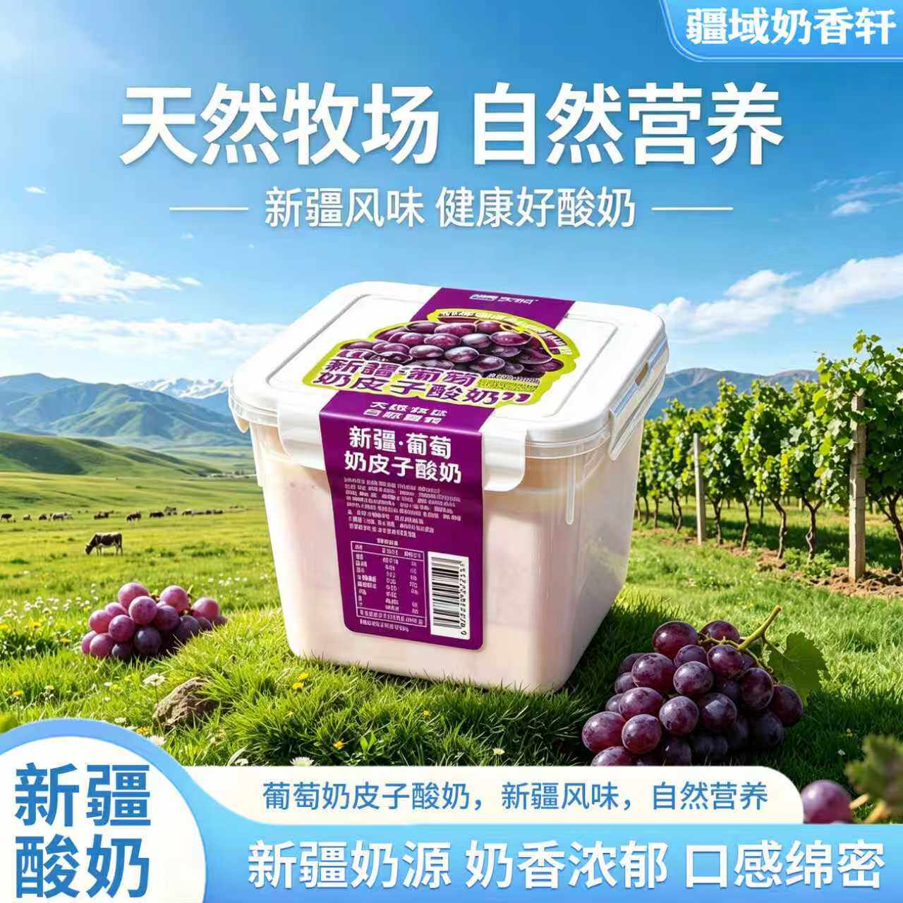 天润新疆葡萄奶皮子酸奶800克*1桶天然牧场自然营养健康低温酸奶
