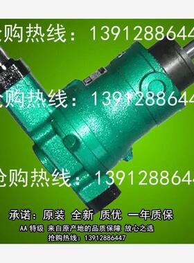 全新柱塞泵10Y25YCY 40YCY 63YCY80YCY 100ycy 160YCY14-1b 2包邮