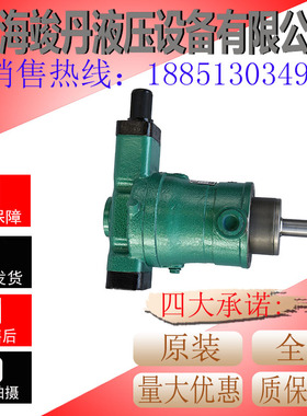 新款10YCY 25YCY 40YCY 63YCY 80YCY 100YCY 160YCY14-1B上海包邮