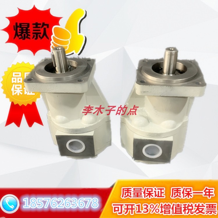 新款煤机齿轮油泵CBG2063