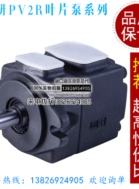 新款注塑机高低压油泵PVL PV2R13-12/14/17-76-F-RAAA-30/31/包邮