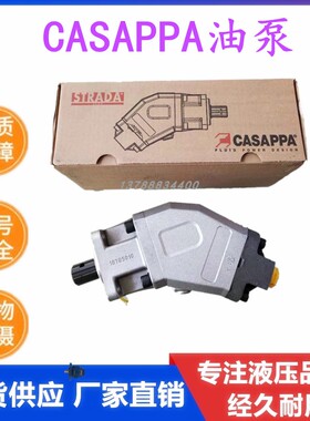 新款PZB Y60/84R 317008422W0 64意大利斜轴柱塞泵环卫钩臂车包邮