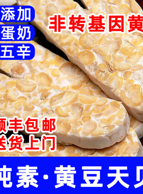 天贝素食毛毛黄豆腐纳瓣印丹尼Tempe/tempeh发酵菌制品大蛋白素肉