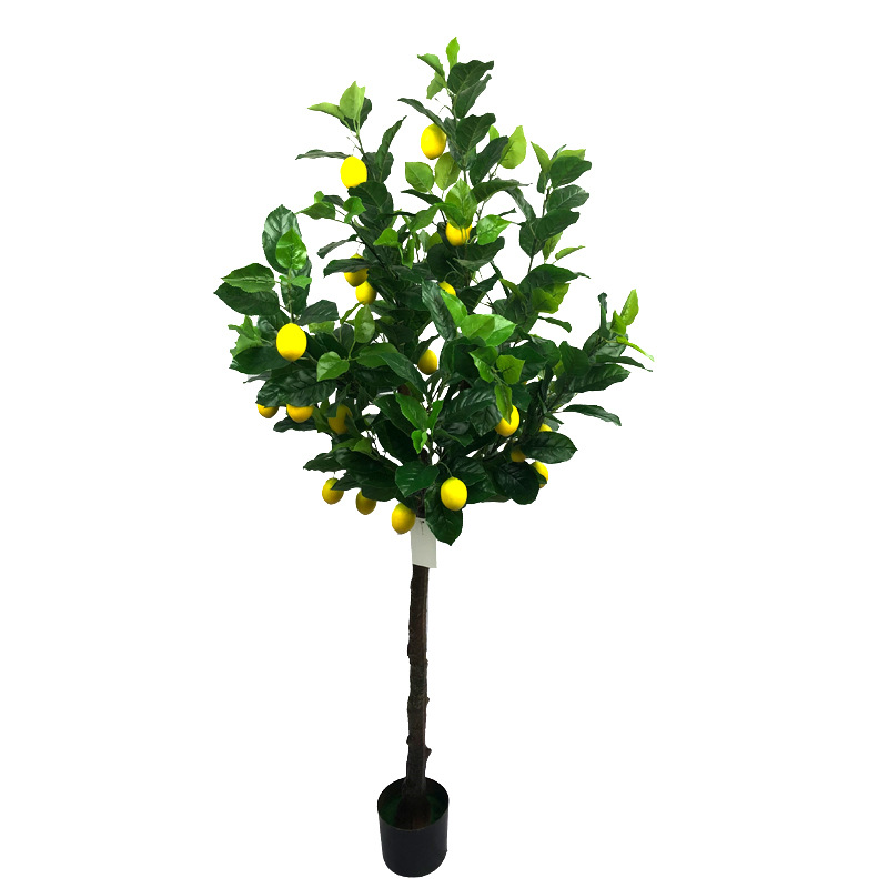 仿真水果柠檬树绿植迷你小盆栽柠