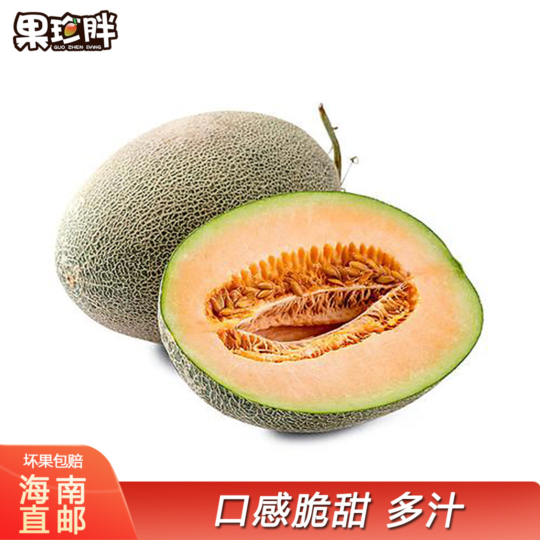 果珍胖 海南西州蜜瓜 晓蜜25号 整箱包邮 沙地蜜瓜西洲蜜瓜哈密瓜