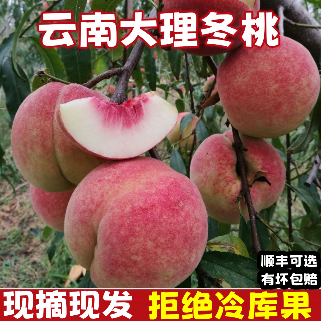 顺丰云南大理冬桃当季新鲜水果脆甜毛桃5/9斤高山桃子整箱现摘