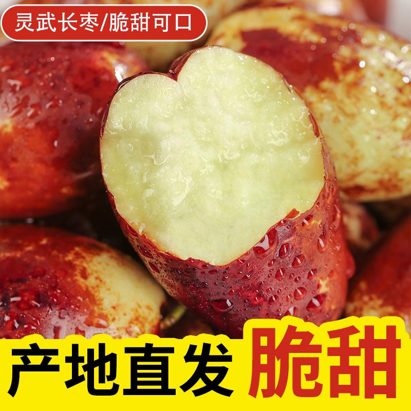 【顺丰包邮】25年宁夏灵武长枣当季新鲜水果脆甜可口红枣特产大枣