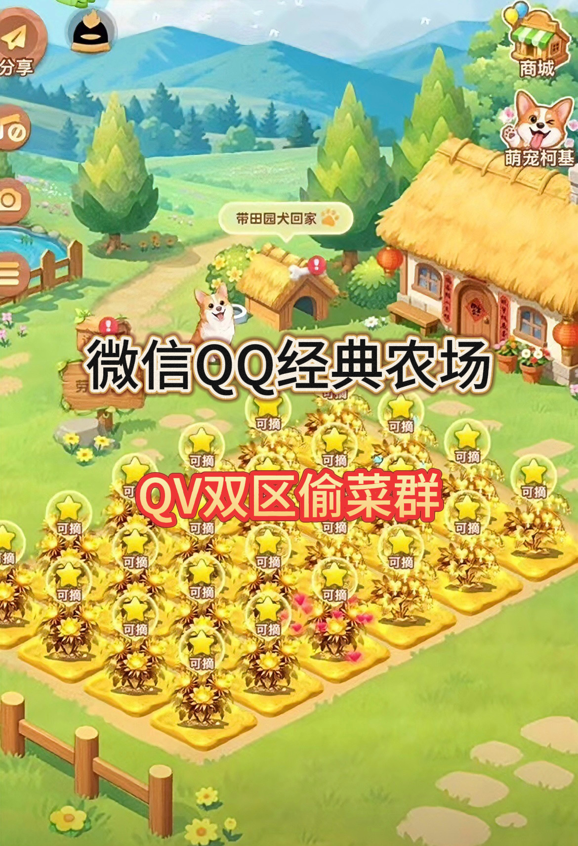 qq经典农场偷菜群QV双区偷菜好友