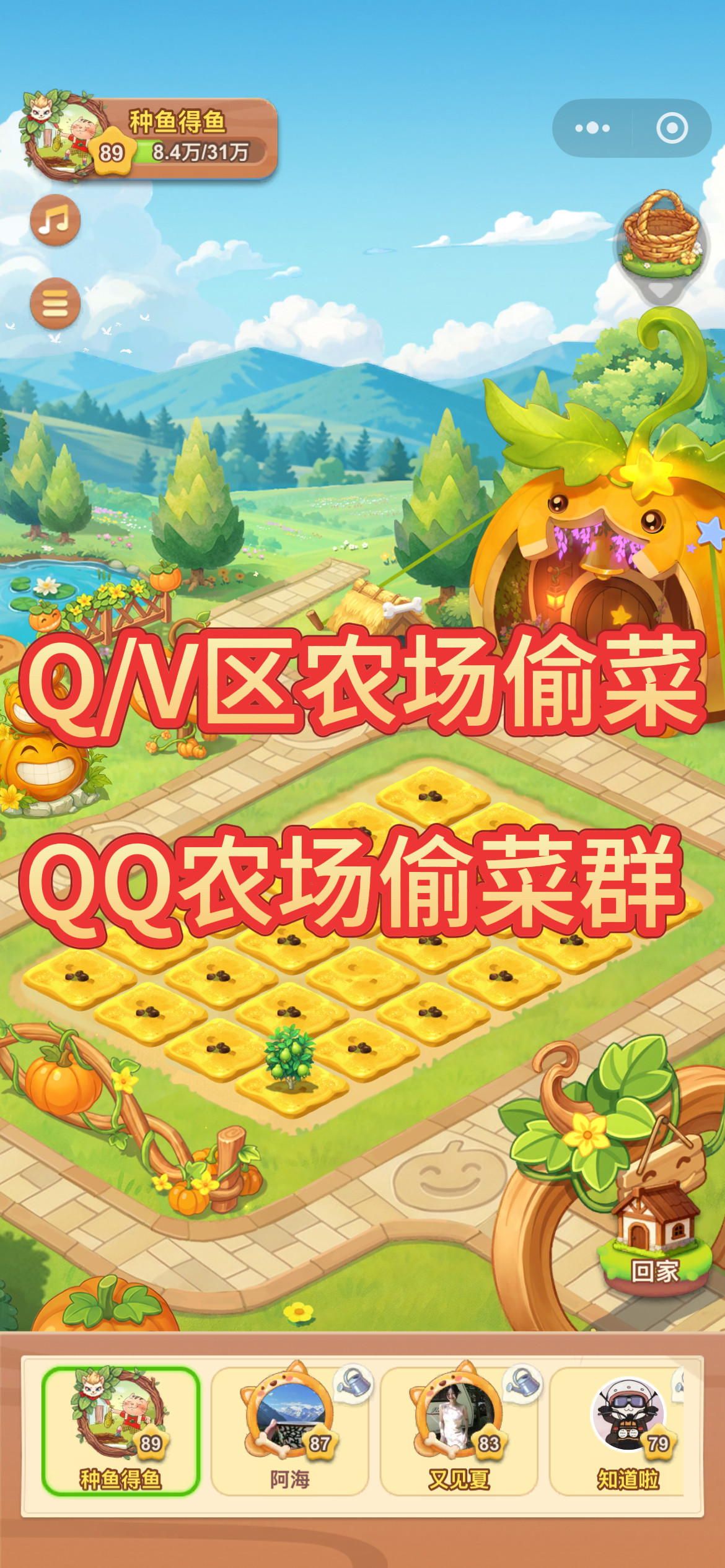 qq经典农场偷菜好友v/q双区QQ农场偷菜群农场偷菜好友