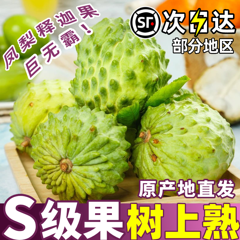 现摘凤梨释迦特色水果空运直达