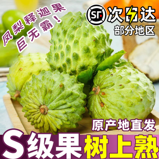 【原产地】海南凤梨释迦果 现摘番荔枝佛头果 海南特色高档水果