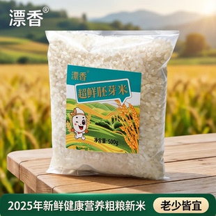 2025年新鲜健康营养粗粮新米正品生态胚芽米老少皆宜幼儿辅食