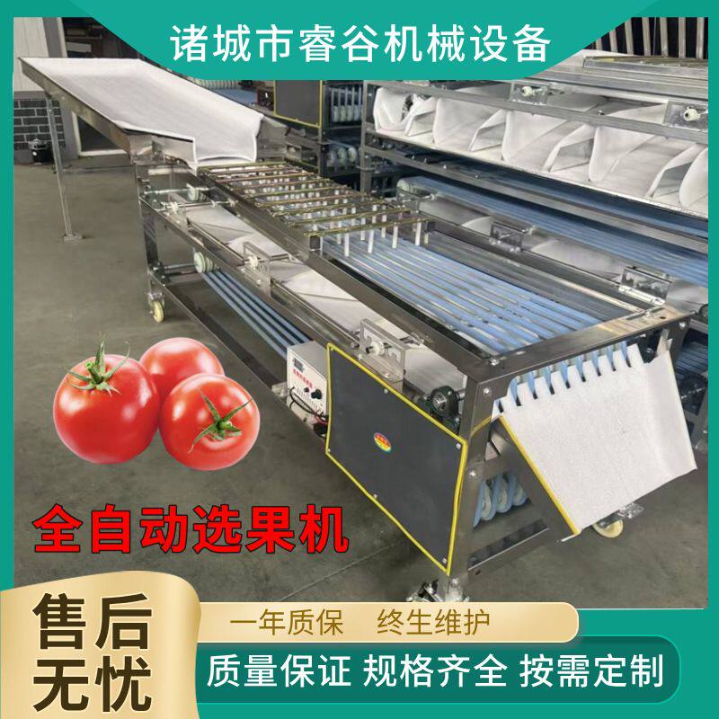 全自动轨道式选果机西红柿分选机橙子小枣核桃分选机不锈钢分级机
