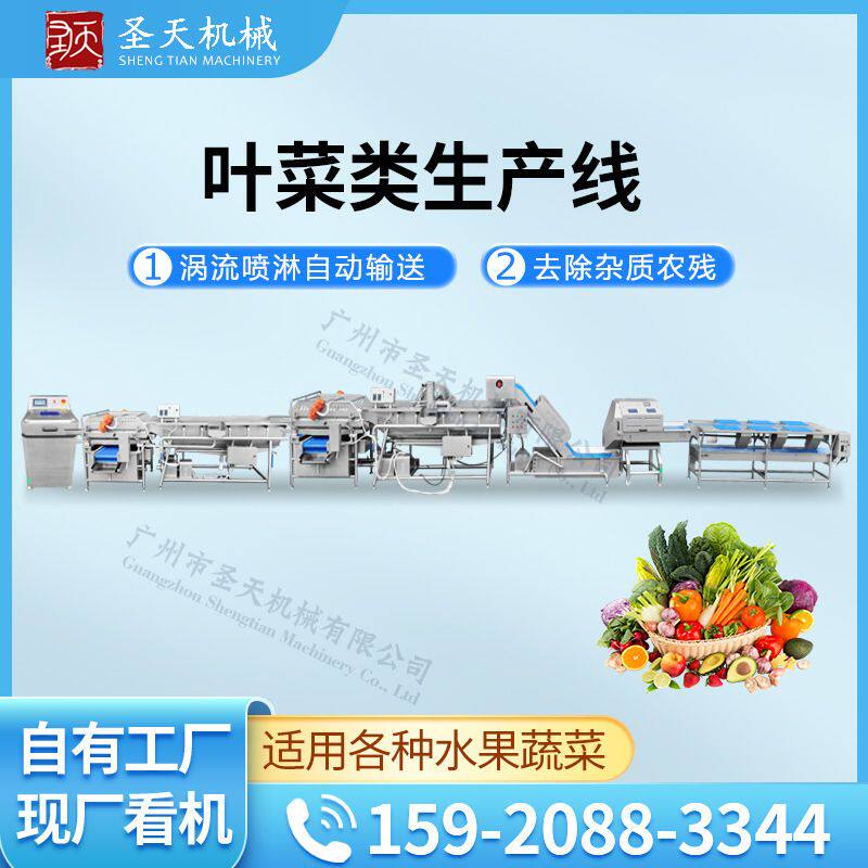 定制半成品预制菜加工设备 净菜加工生产线 叶菜类果蔬气泡清洗机