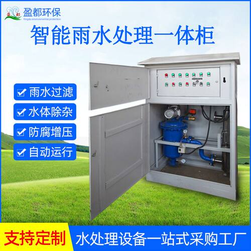 雨水智能水处理一体机 碳钢雨水收集器厂家 地面式雨水处理一体机