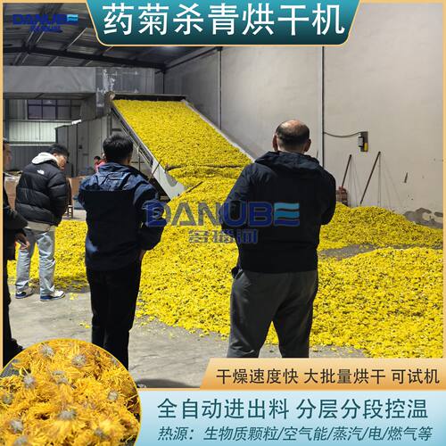 药菊杀青烘干机 野菊花滁菊金丝菊花杀青烘干生产线 药菊烘干设备