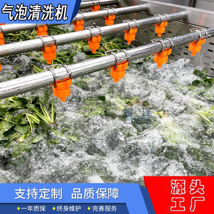 多功能商用气泡洗菜机洗土豆机全自动辣椒茄子青菜喷淋鼓泡清洗机