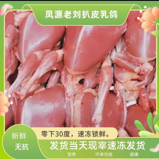 扒皮乳鸽子肉新鲜去皮10只装顺丰包邮原粮散养真空速冻烧烤店饭用