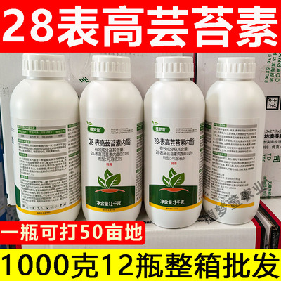 28表高芸苔素内脂保花保果增产
