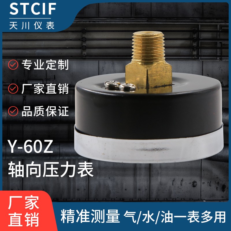 天川仪表Y-60Z轴向背接式压力表0-40mpa真空气压液压