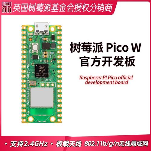 树莓派pico2 raspberry pi pico2 w wh RP2040 RP2350 RISC-V MCU