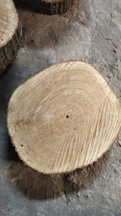 飞刀靶加厚训练木靶练习靶子实木飞镖靶天然木材飞刀靶