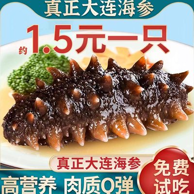 【官方推荐】大连鲜食辽刺参