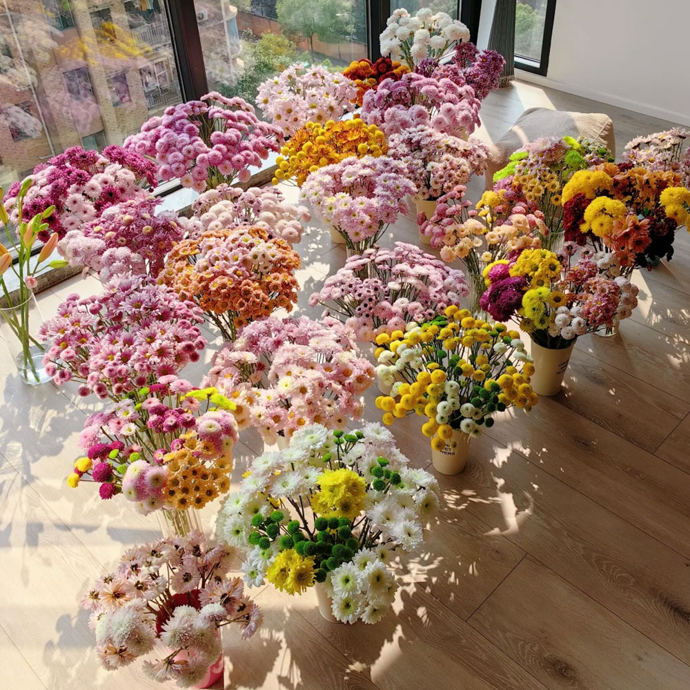 鲜花花束小雏菊三文鱼小菊云北京基地顺丰直发速递家用水养花