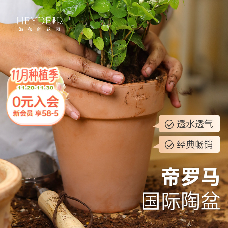 海蒂的花园旗舰店帝罗马花盆家用栽种花盆兰花花盆