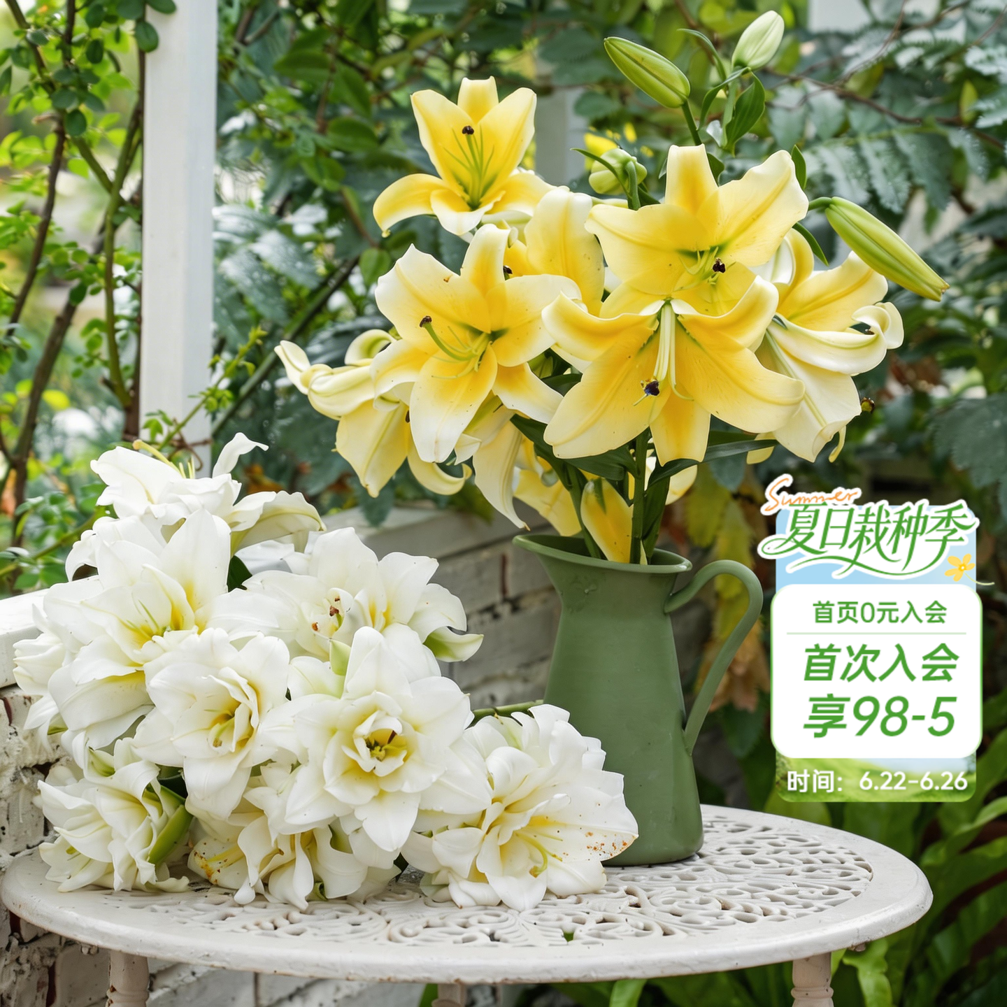 海蒂的花园旗舰店百合种球鲜切花品种全国可种花园阳台花卉球根 - 实物图