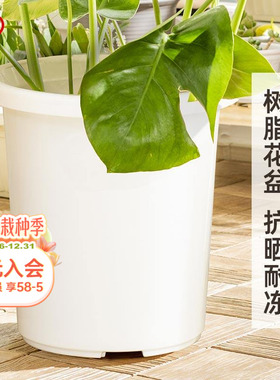 海蒂的花园旗舰店爱丽思TILT素雅简约树脂花盆月季绣球种植深型盆