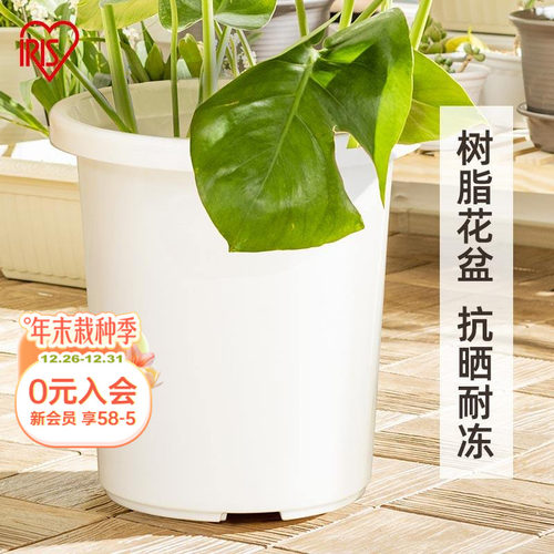 海蒂的花园旗舰店爱丽思TILT素雅简约树脂花盆月季绣球种植深型盆